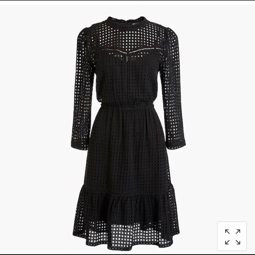 J. Crew eyelet long sleeve dress